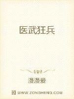 醫武狂兵