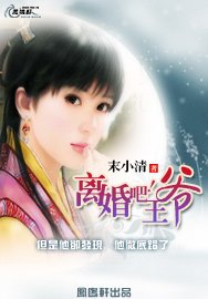 离婚吧!王爷